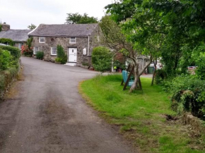 Pandy cymunod